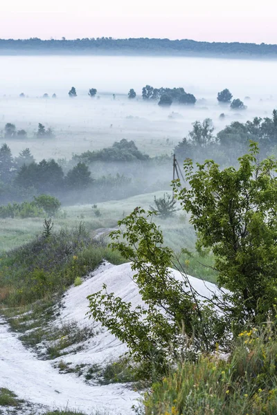 Bozkırda ve nehirde sisli bir sabah. Siste şafak.