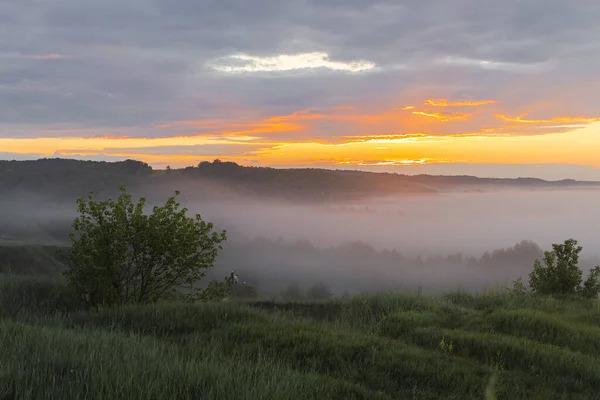 Nebliger Morgen Über Der Steppe Und Dem Fluss Morgendämmerung Nebel — Stockfoto