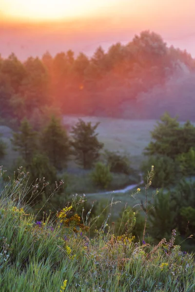 Nebliger Morgen Über Der Steppe Und Dem Fluss Morgendämmerung Nebel — Stockfoto