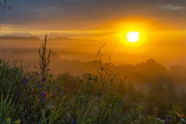Утро Рассвет Степи Солнце Встает Над Холмами Пробуждение Цветов — стоковое фото