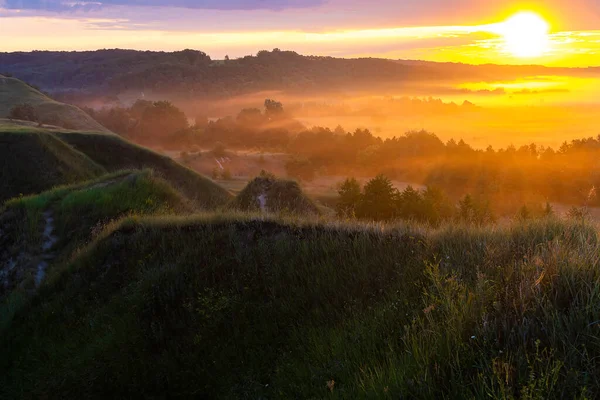 Günaydın, bozkırda şafak vakti. Güneş tepelerin üzerinden doğuyor. Uyandıran çiçekler.