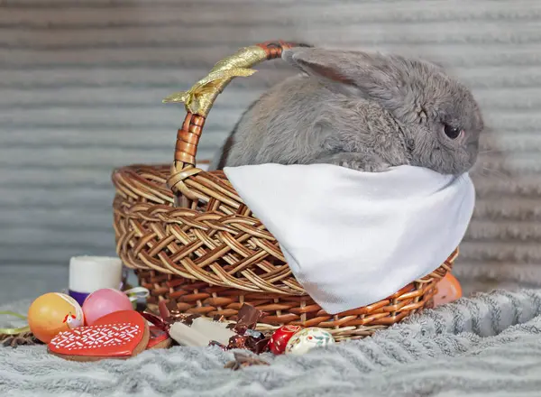 Set, Paskalya dekoru, Paskalya seti, Paskalya kartı.