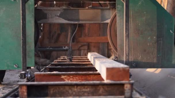 ソーミルバンド製材所は木製のビームをカットします 製材所で木製の梁をサーフィン 木を切り取るのは — ストック動画