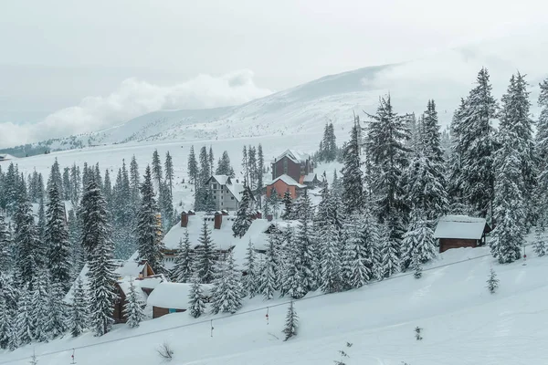 Winter Landscape Mountain Village Snow — ストック写真