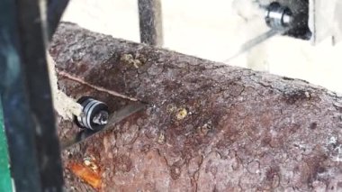 Bıçkıhane işi. Kereste atölyesindeki makine, odun kesiyor.