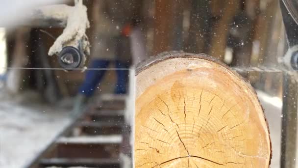 Tartak Działa Maszyna Tartaku Piłowanie Drewna — Wideo stockowe