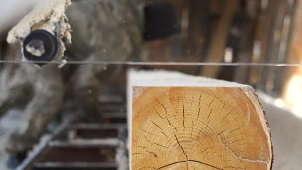Tartak Działa Maszyna Tartaku Piłowanie Drewna — Wideo stockowe
