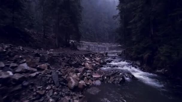Flying Mountain Winding River — Stock Video