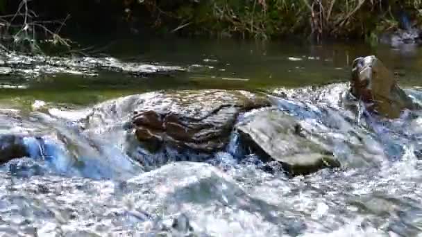 Video Fragments Mountain River Flow Water Stones — Stock Video
