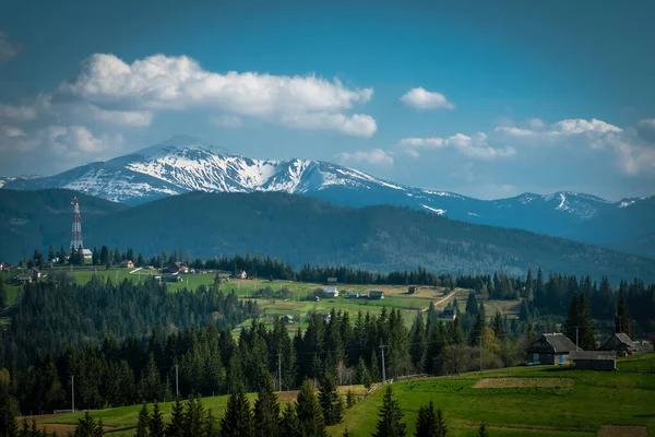 Ukrayna doğası, Karpat dağlarında bir köy. Ukrayna Karpatları, Hoverla Dağı Manzarası.