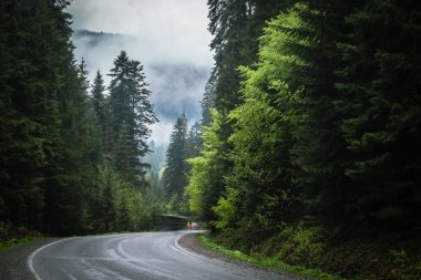 Dağlarda dolambaçlı bir yol. Yağmur yağarken dağlarda yol.