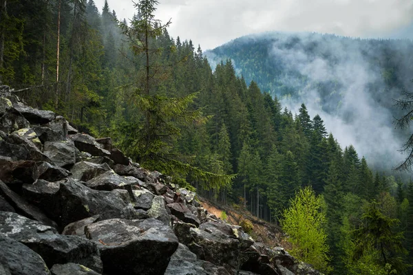 Dağ köyü, bahar manzarası, yaz.