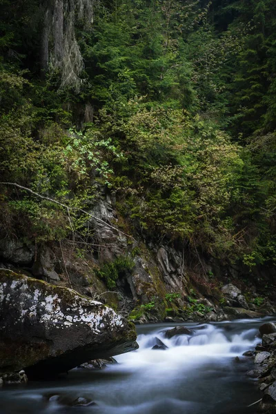 Yağmur sırasında dağ nehri. Su üzerinde buharlaşma. Suyun üzerinde sis.