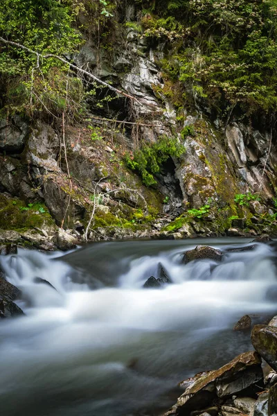 Dağ nehrinin yağlanmış suyu. Dağ nehri bulanık.