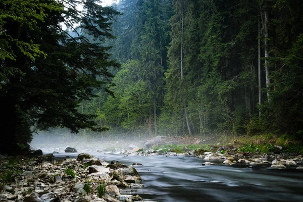 Yağmur sırasında dağ nehri. Su üzerinde buharlaşma. Suyun üzerinde sis.