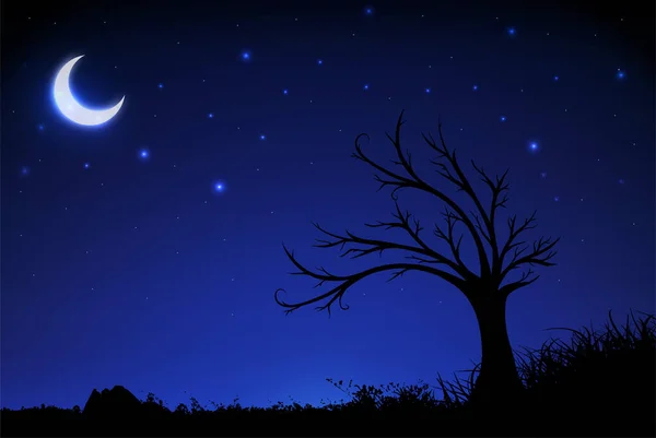 Arrière Plan Nocturne Étoilé Avec Croissant Lune Arbre Herbe Silhouette — Image vectorielle