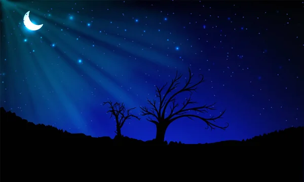 Sfondo Stellato Notturno Con Mezzaluna Albero Erba Silhouette Widescreen Sfondo — Vettoriale Stock