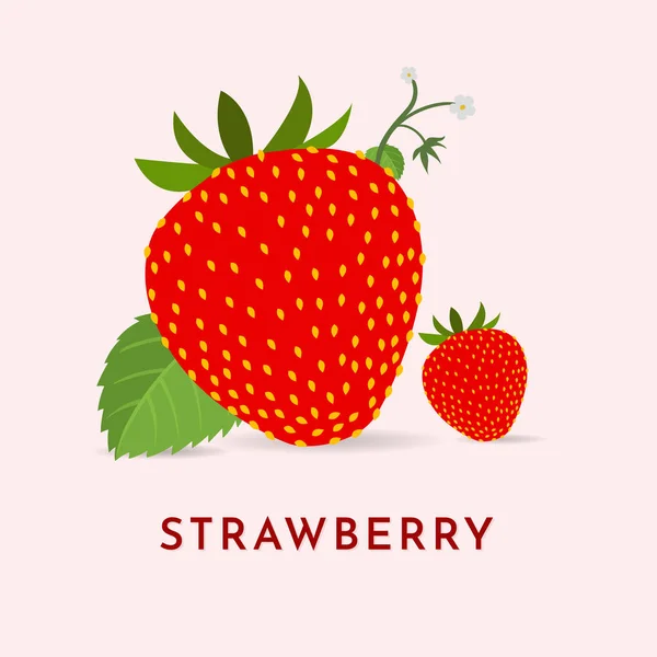 Hand Drawn Strawberry Fruit Illustration Vector Strawberry Fruit Icon Concept — Stock Vector