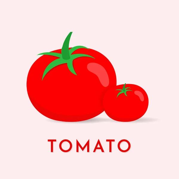 Tomaten Icon Konzept Isoliert — Stockvektor