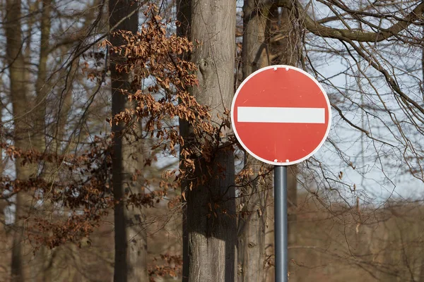 Zakaz Wjazdu Jednokierunkową Ulicę Drzewa Tle — Zdjęcie stockowe