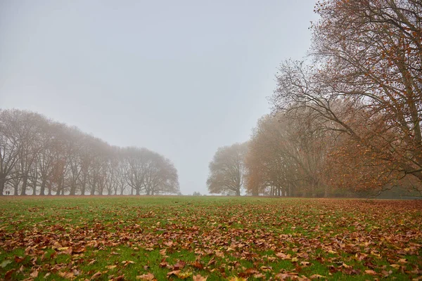 Gölün kenarındaki parkta boş bir bank, kırmızı renkli sonbahar yaprakları.