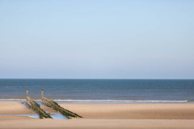 Ahşap yığınları, mavi gökyüzü ve insan olmayan Domburg plajı.