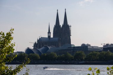 Kolonya, NRW, Almanya, 07 02 2021, kolonya katedrali, çerçeve olarak ağaçlar, öndeki nehir, nehirdeki spor teknesi.