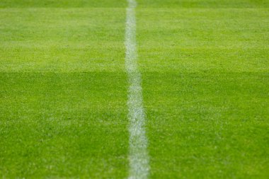 Yeşil çimen spor sahasında futbol, futbol ya da diğer spor dalları için çizgi işareti.