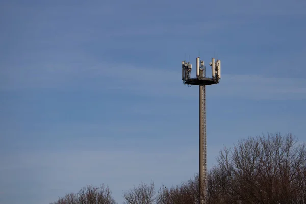 Телекомунікаційна Антена Позаду Верхівки Дерева — стокове фото