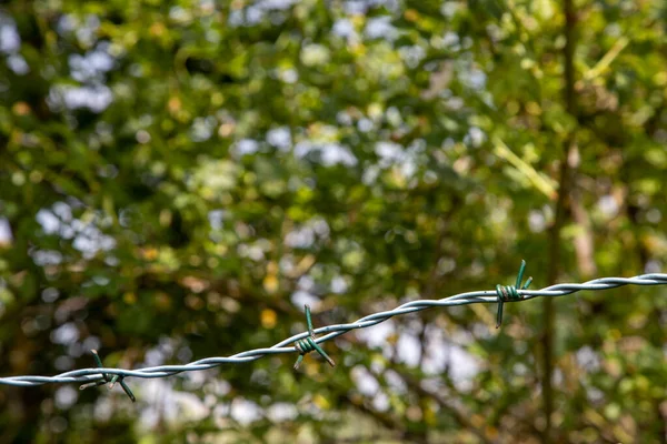 Nahaufnahme Von Stacheldraht Defokussiertes Laub Als Hintergrund — Stockfoto