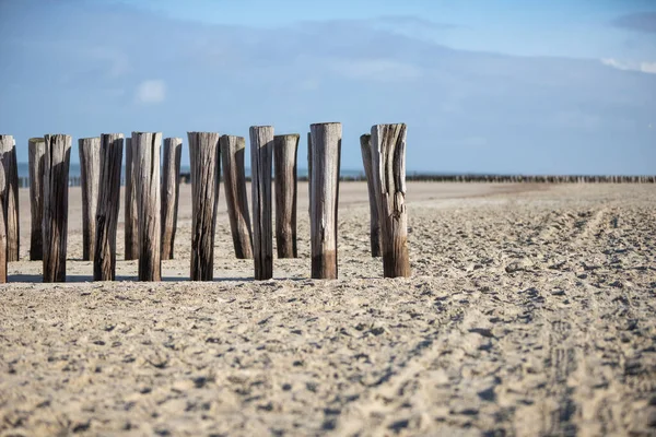 Древесина Песке Защита Воды Пляже Домбурге Нидерланды — стоковое фото
