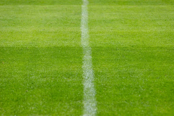 绿草运动场上用于足球 足球或其他运动的细线标记 — 图库照片