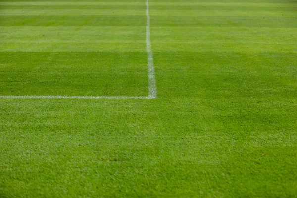 绿草运动场上用于足球 足球或其他运动的毛线标志角 — 图库照片