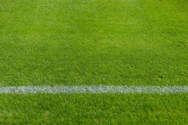 绿色草地运动场上用于足球 足球或其他运动的水平鞭长线标志 — 图库照片