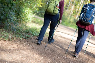 Yürüyen iki kadın orman yolunda, bastonlarıyla.