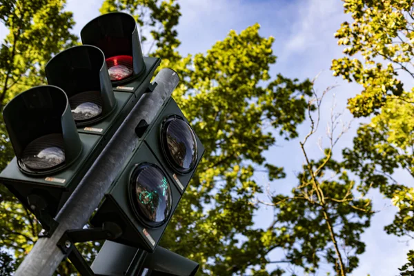 Vista Angolo Basso Semaforo Tedesco Alberi Sfocati Come Sfondo — Foto Stock