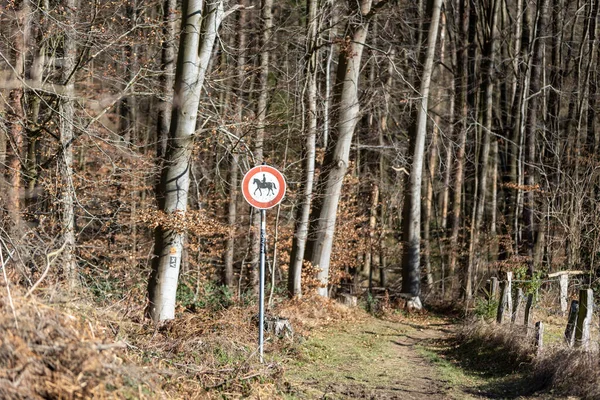 Paardrijden Verboden Teken Een Bos — Stockfoto