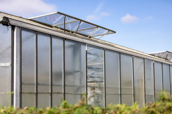 Открытое Окно Теплицы Оранжерея Выращивания Растений — стоковое фото