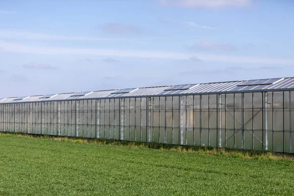 Side View Greenhouse Glasshouse Grow Plants — Stock Photo, Image