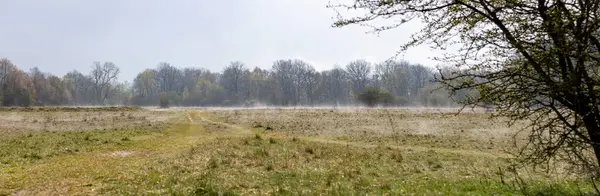 Landschaft Mit Wiesen Und Bäumen Nebel Auf Dem Boden Nach — Stockfoto
