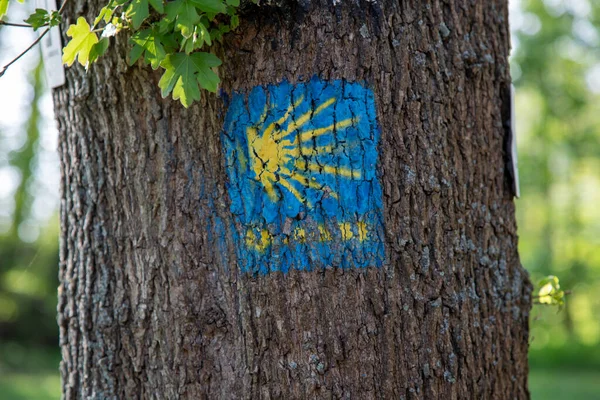 Zeichen Des Pilgerweges Nach Santiago Compostela Einem Baum — Stockfoto