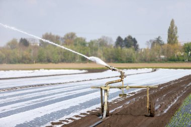 Bir alandaki sulama sistemi