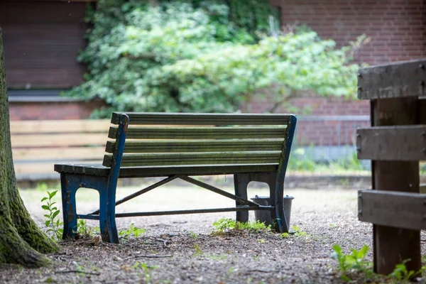 Alte Holzbank Hof Plastikeimer Neben Der Bank — Stockfoto