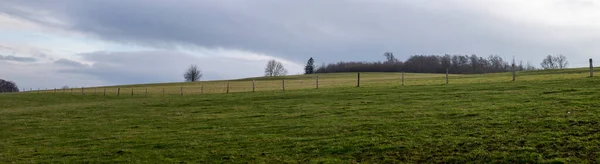 Landschaftspanorama Mit Wiesen Und Feldern Kleine Baumgruppe Hintergrund Bewölkter Himmel — Stockfoto