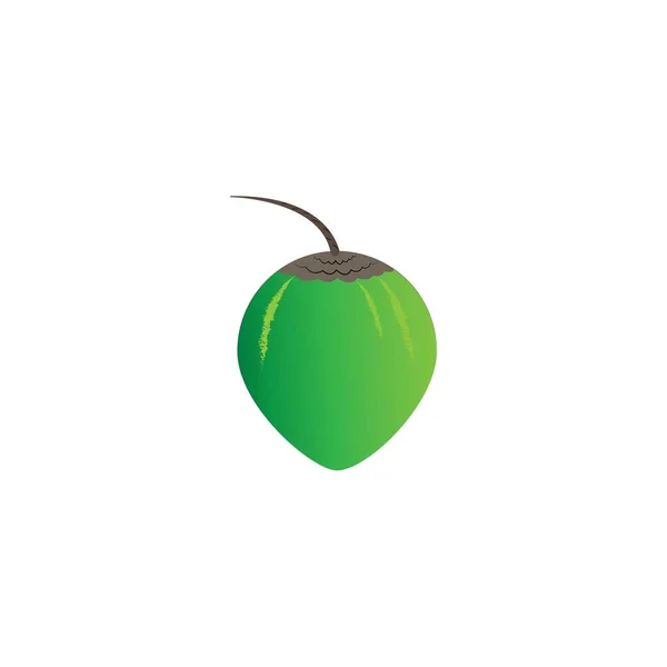 Coconut Logo Icon Vector Design Template — Vetor de Stock
