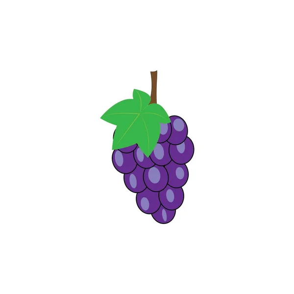 Üzüm logosu vektör tasarımı