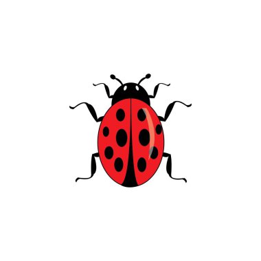 Böcek simgesi logo vektör tasarım şablonu