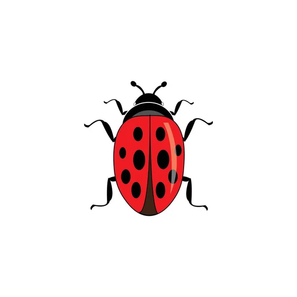 Beetle Icon Logo Vector Design Template — Stock Vector