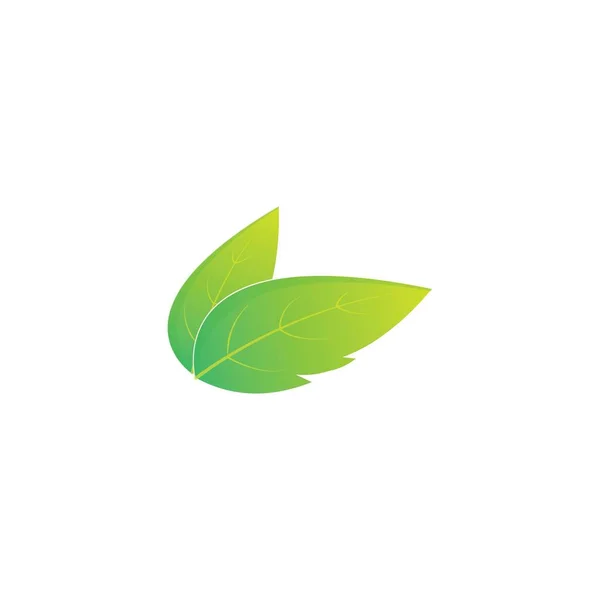 Leaf Logo Icon Vector Design Template — Vector de stock