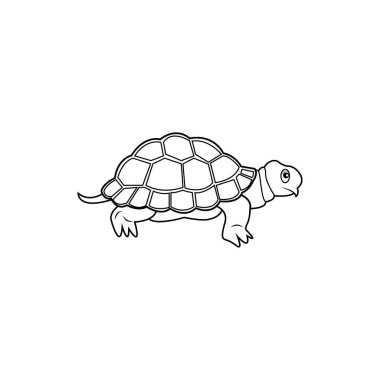 kaplumbağa simgesi logo vektör tasarım şablonu